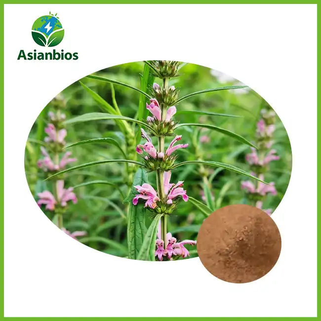 Motherwort Extract Powder